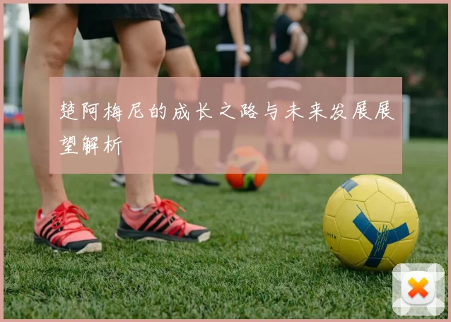 楚阿梅尼的成长之路与未来发展展望解析