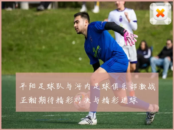 平阳足球队与河内足球俱乐部激战正酣期待精彩对决与精彩进球