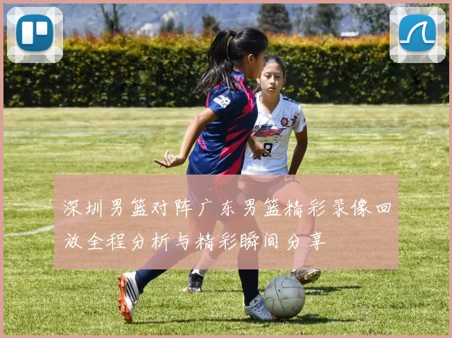 深圳男篮对阵广东男篮精彩录像回放全程分析与精彩瞬间分享