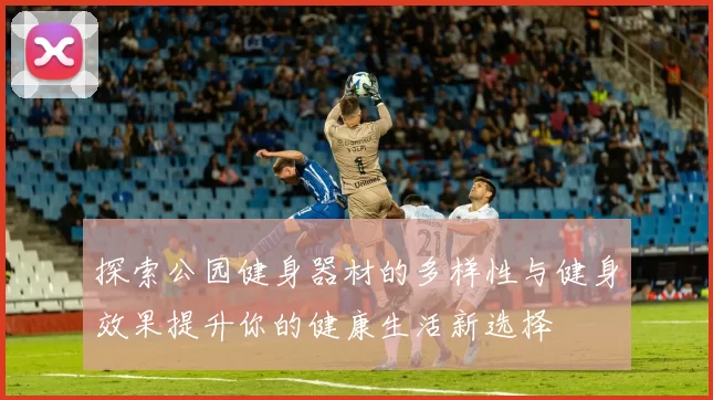 探索公园健身器材的多样性与健身效果提升你的健康生活新选择