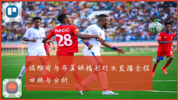 诺维奇与布莱顿精彩对决直播全程回顾与分析